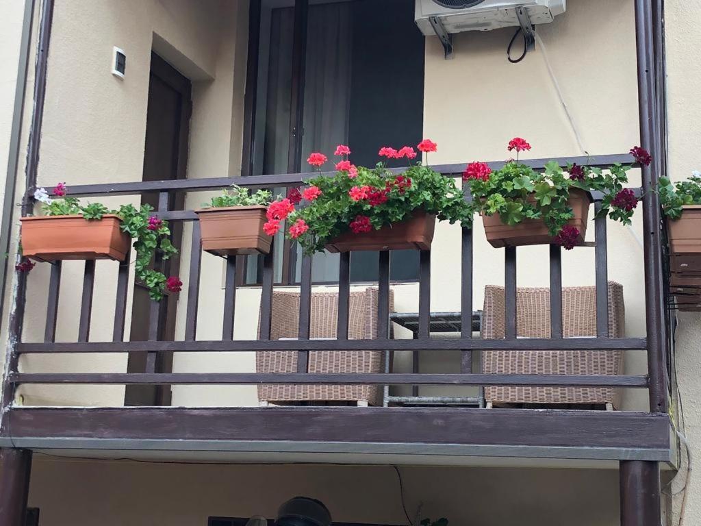 Tinikos Guest House Telavi Exterior photo