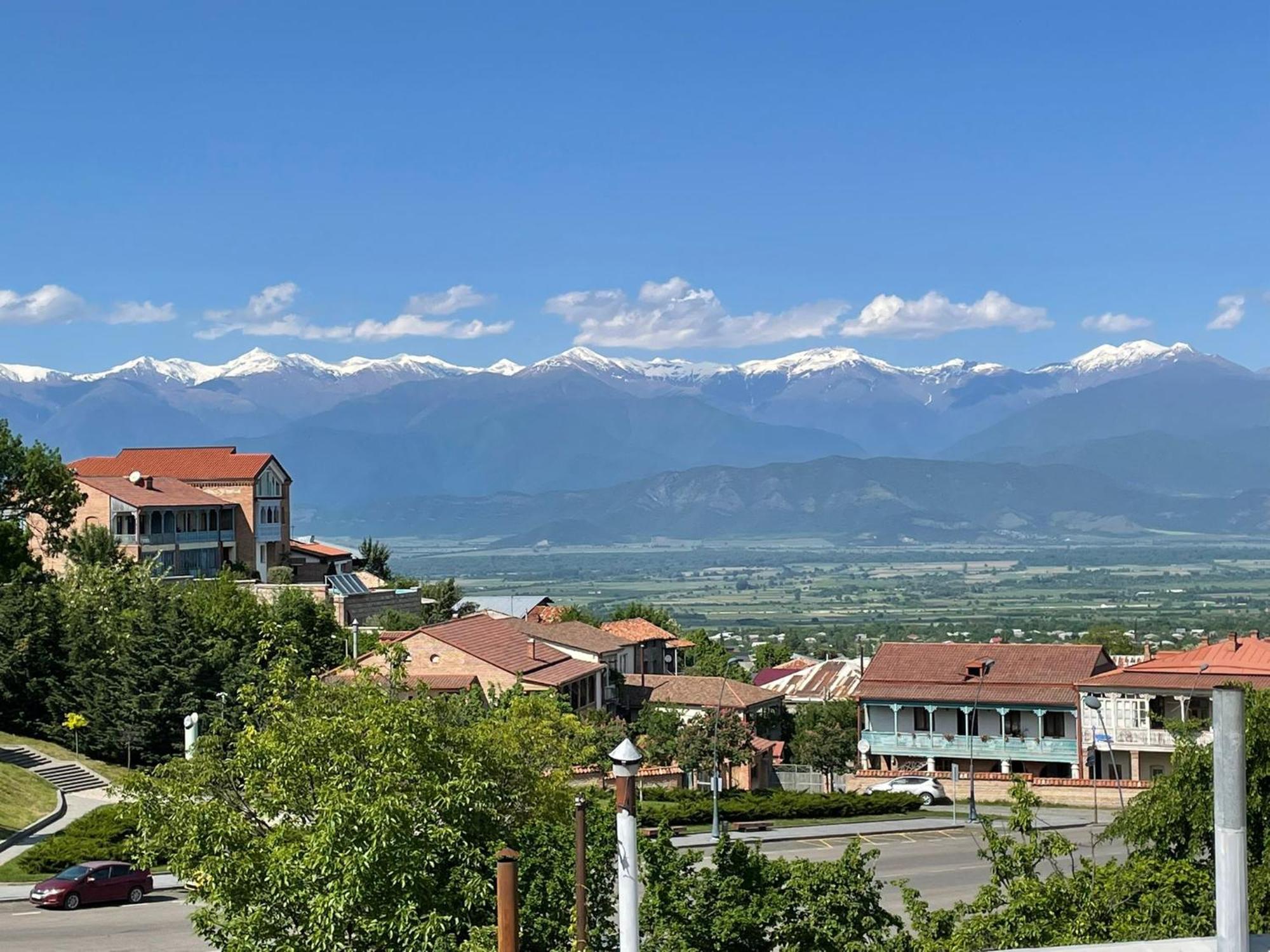 Tinikos Guest House Telavi Exterior photo
