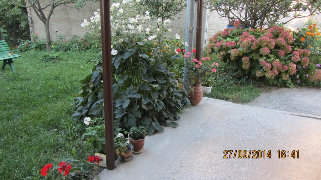 Tinikos Guest House Telavi Exterior photo