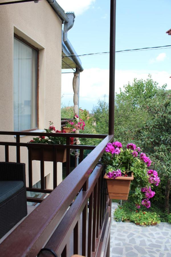 Tinikos Guest House Telavi Exterior photo