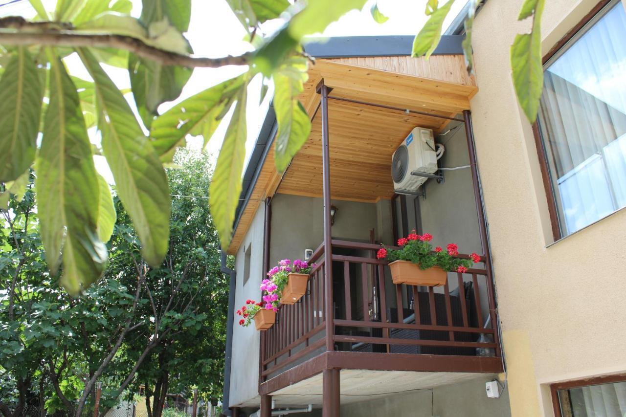 Tinikos Guest House Telavi Exterior photo